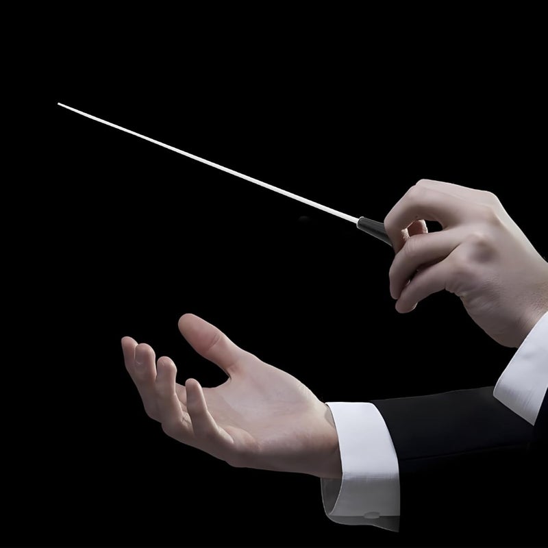 Wuyituart 15 Inch Conducting Baton with Resin Handle Lightweight Drum Major Baton with Case, Black - Image 5